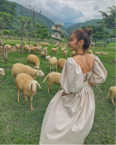 Quên lối về trước vẻ đẹp mê mẩn của đồi cừu Ninh Bình