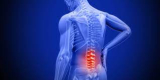 Bệnh đau lưng – Nguyên nhân, triệu chứng và cách điều trị